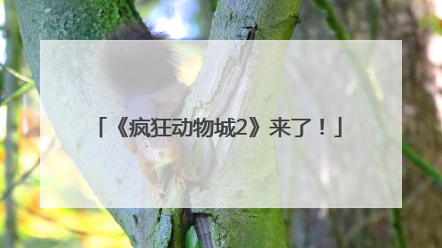 《疯狂动物城2》来了！