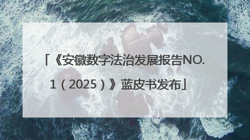 《安徽数字法治发展报告NO.1（2025）》蓝皮书发布