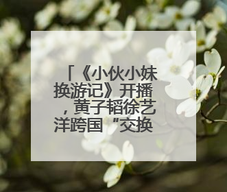 《小伙小妹换游记》开播，黄子韬徐艺洋跨国“交换人生”