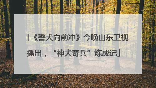 《警犬向前冲》今晚山东卫视播出，“神犬奇兵”炼成记