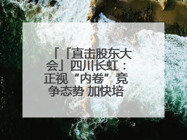 「直击股东大会」四川长虹：正视“内卷”竞争态势 加快培育发展新动能