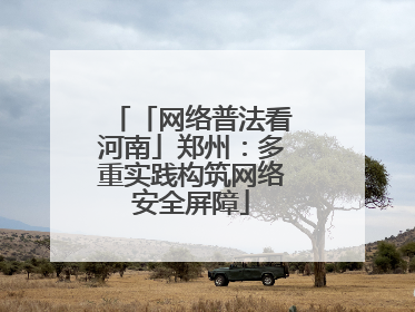 「网络普法看河南」郑州：多重实践构筑网络安全屏障