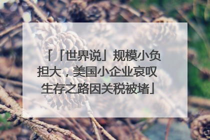 「世界说」规模小负担大，美国小企业哀叹生存之路因关税被堵