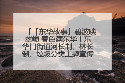 「东华故事」碧波映翠嶂 春色满东华丨东华门街道河长制、林长制、垃圾分类主题宣传如火如荼中