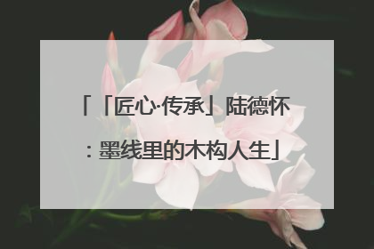 「匠心·传承」陆德怀：墨线里的木构人生