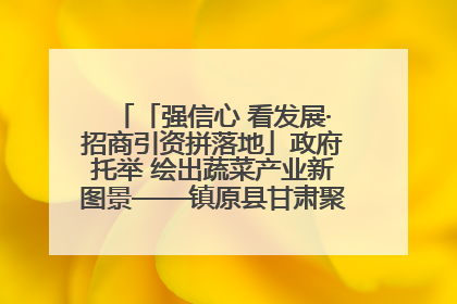 「强信心 看发展·招商引资拼落地」政府托举 绘出蔬菜产业新图景——镇原县甘肃聚广利现代设施蔬菜种植基地见闻