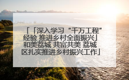 「深入学习“千万工程”经验 推进乡村全面振兴」和美荔城 共富共美 荔城区扎实推进乡村振兴工作