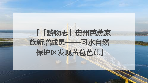 「黔物志」贵州芭蕉家族新增成员——习水自然保护区发现黄苞芭蕉