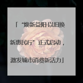 “焕新益阳·以旧换新惠民行”正式启动，激发城市消费新活力