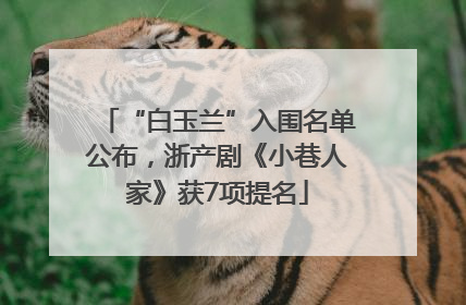 “白玉兰”入围名单公布，浙产剧《小巷人家》获7项提名