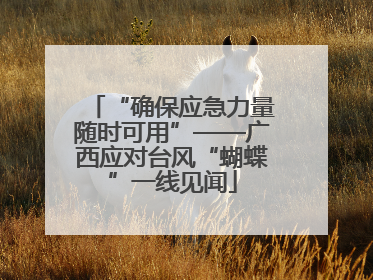 “确保应急力量随时可用”——广西应对台风“蝴蝶”一线见闻