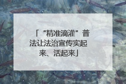 “精准滴灌”普法让法治宣传实起来、活起来