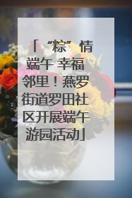 “粽”情端午 幸福邻里！燕罗街道罗田社区开展端午游园活动