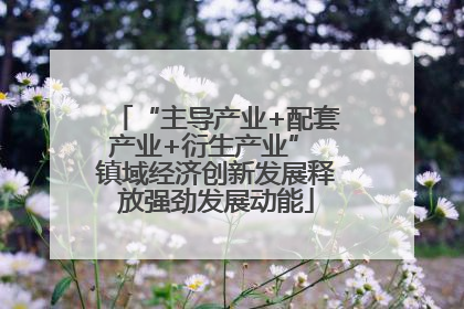 “主导产业+配套产业+衍生产业” 镇域经济创新发展释放强劲发展动能