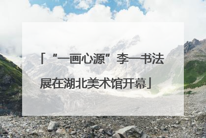 “一画心源”李一书法展在湖北美术馆开幕