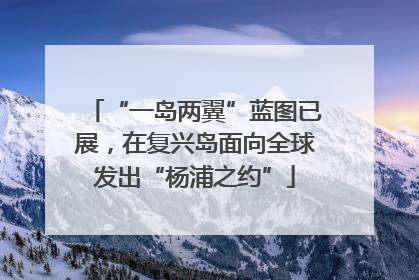 “一岛两翼”蓝图已展，在复兴岛面向全球发出“杨浦之约”