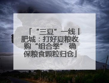 “三夏”一线丨肥城：打好夏粮收购“组合拳” 确保粮食颗粒归仓