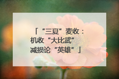 “三夏”麦收：机收“大比武” 减损论“英雄”