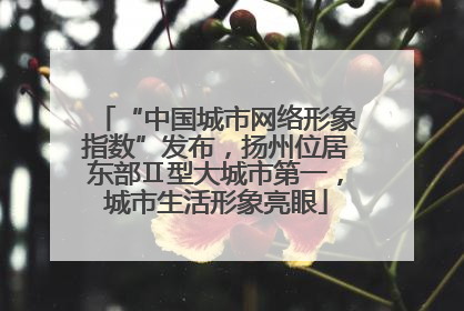 “中国城市网络形象指数”发布，扬州位居东部Ⅱ型大城市第一，城市生活形象亮眼