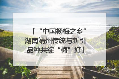 “中国杨梅之乡”湖南靖州传统与新引品种共绽“梅”好