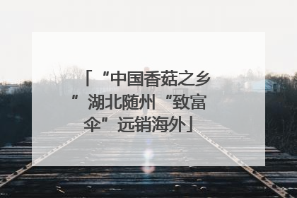 “中国香菇之乡”湖北随州“致富伞”远销海外
