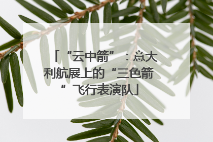 “云中箭”：意大利航展上的“三色箭”飞行表演队