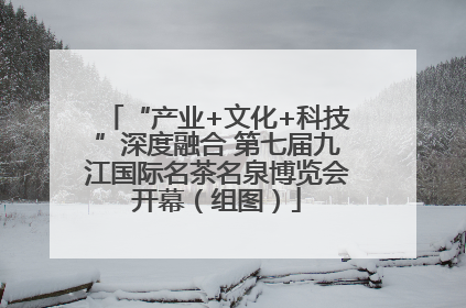 “产业+文化+科技”深度融合 第七届九江国际名茶名泉博览会开幕（组图）