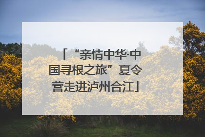 “亲情中华·中国寻根之旅”夏令营走进泸州合江