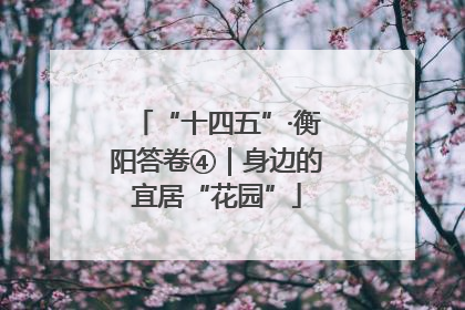“十四五”·衡阳答卷④｜身边的宜居“花园”