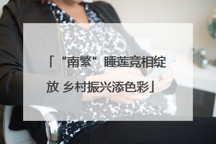 “南繁”睡莲竞相绽放 乡村振兴添色彩