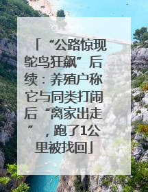 “公路惊现鸵鸟狂飙”后续：养殖户称它与同类打闹后“离家出走”，跑了1公里被找回