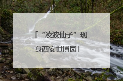 “凌波仙子”现身西安世博园