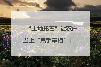 “土地托管”让农户当上“甩手掌柜”