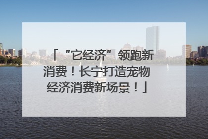 “它经济”领跑新消费！长宁打造宠物经济消费新场景！