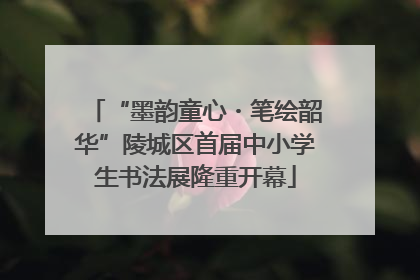“墨韵童心・笔绘韶华”陵城区首届中小学生书法展隆重开幕