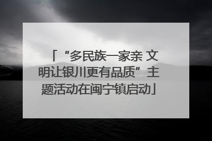 “多民族一家亲 文明让银川更有品质”主题活动在闽宁镇启动