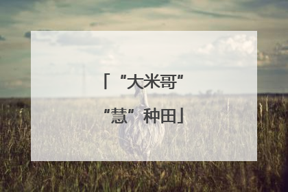 “大米哥”“慧”种田