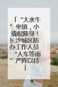 “大水牛”坐镇，小撬棍随身！长沙城区防办工作人员“人车等雨”严阵以待