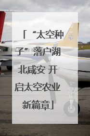 “太空种子”落户湖北咸安 开启太空农业新篇章