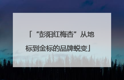 “彭阳红梅杏”从地标到金标的品牌蜕变