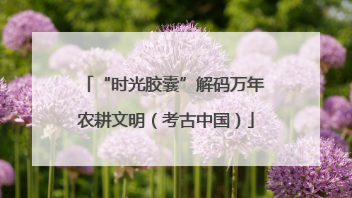 “时光胶囊”解码万年农耕文明（考古中国）