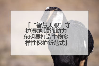 “智慧天眼”守护湿地 联通助力东明县打造生物多样性保护新范式