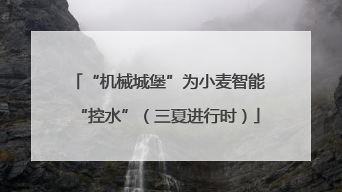 “机械城堡”为小麦智能“控水”（三夏进行时）