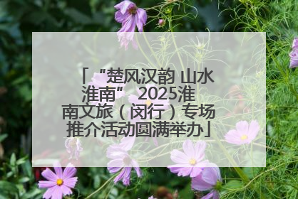 “楚风汉韵 山水淮南” 2025淮南文旅（闵行）专场推介活动圆满举办