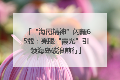 “海霞精神”闪耀65载：亮眼“霞光”引领海岛破浪前行