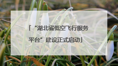“湖北省低空飞行服务平台”建设正式启动