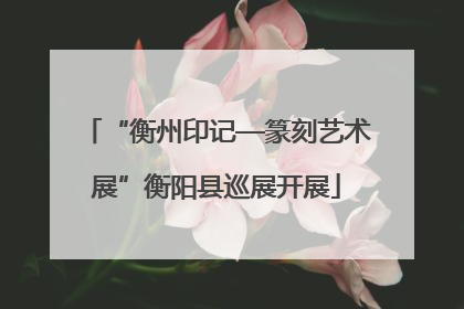 “衡州印记—篆刻艺术展”衡阳县巡展开展
