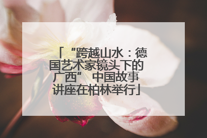 “跨越山水：德国艺术家镜头下的广西” 中国故事讲座在柏林举行