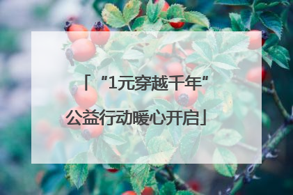 “1元穿越千年”公益行动暖心开启