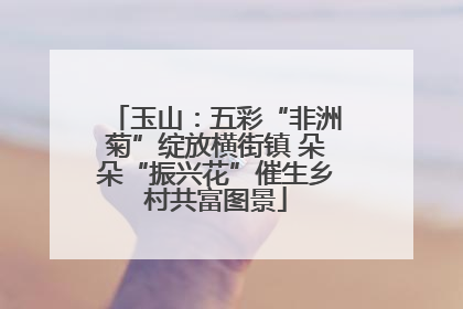 玉山：五彩“非洲菊”绽放横街镇 朵朵“振兴花”催生乡村共富图景